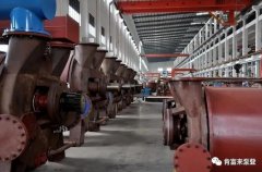 厦门昊新绿色住宅建设有限公司被评为2019年度三水区骨干企业